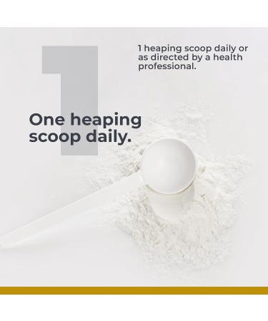 Premier Research Labs Creatine Monohydrate Powder - Vegan Friendly Unflavored 7.8 oz (40 Servings) | Best Creatine for Men & Women | International Shipping Available - Buy Online on GoSupps.com