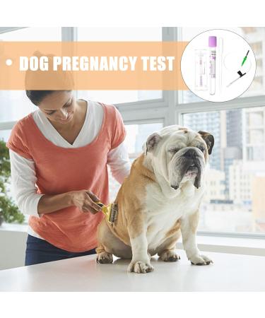 GANAZONO Pet Dog Pregnancy Pregnant Test Paper Strip Fast and Accurate Detection Pet Dog Pregnancy Test Card Dog Pregnant Test - Buy Online on GoSupps.com