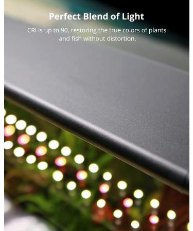 NICREW RGB+W 24/7 LED Aquarium Light | Full Spectrum Planted Fish Tank Light with Remote | 17W, 18-24 Inches - Buy Online on GoSupps.com