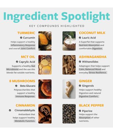 Golden Milk Powder Organic Blend - Adaptogenic Turmeric Latte with Ginger Ashwagandha & Mushroom Complex for Sleep Relaxation Vitality & Immune Support - Vegan Non-GMO & Filler Free (60 Servings) - Buy Online on GoSupps.com