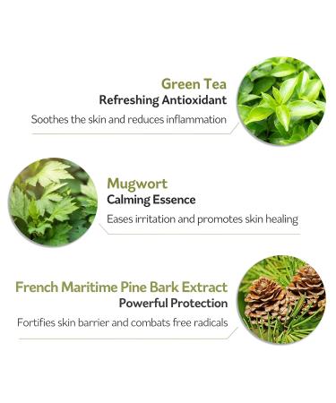PESTLO Spicule Re-Born Exfoliating Peeling Mask - Gentle Exfoliation & Nourishing Hydration for All Skin Types (4.23 oz / 120ml - Buy Online on GoSupps.com