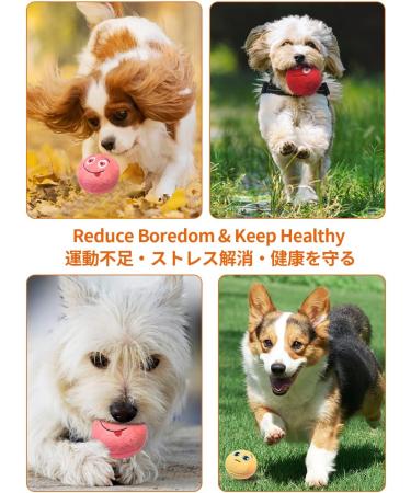 Tongktai Plush Dog Toys - 4-Pack Squeaking Interactive Plush Balls for Puppies & Small Pets | Soft Retrieval Play Toys in Pink Red Yellow & Green - Buy Online on GoSupps.com