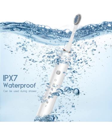 BIUSIKAN Sonic Electric Toothbrush - USB Rechargeable with 4 Brush Heads, 6 Modes, Smart Timer - IPX7 Waterproof for Adults and Kids - Buy Online on GoSupps.com