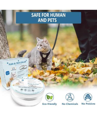 Plant Based Essential Oil Waterproof Treatment for Small Kittens with Free Comb - 2 Pack - Buy Online on GoSupps.com