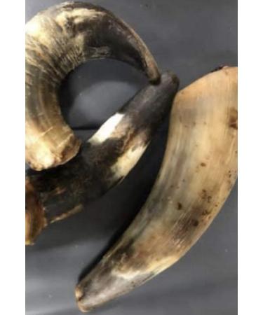 Bulls Horns Extra Large 1kg Natural Dog Treats Chews (approx 2-4) LOD1 - Buy Online on GoSupps.com