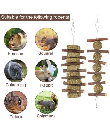 tiopeia 2 Pack Bunny Chew Toys for Teeth Molar Rabbit Toys Hamster Chew Toys Sticks Pet Chew Toy for Rabbits Chinchillas Hamsters Chewing or Playing - Buy Online on GoSupps.com