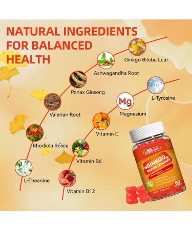 Babivek 2 Pack Ginkgo Biloba Gummies with Ashwagandha Vitamin C & Magnesium - Vegan Non-GMO Gluten-Free - Raspberry Flavor 120 Count - Buy Online on GoSupps.com