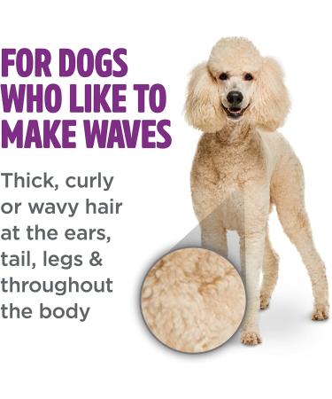 TropiClean PerfectFur Dog Shampoo 16 oz - For All Breeds & Coat Types - Curly & Wavy - Natural Ingredients - Made in USA - Buy Online on GoSupps.com