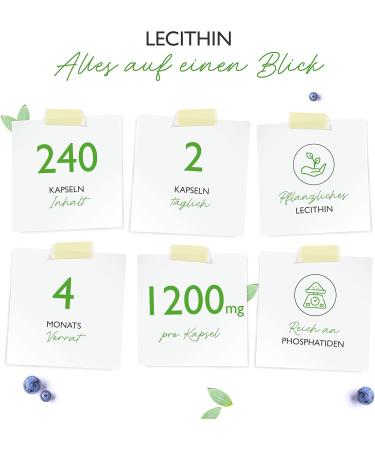 Lecithin 1200 mg - 240 Softgels - Non-GMO Soy Phosphatidylcholine - High Dose Premium Quality - Lab Tested eCommerce - Buy Online on GoSupps.com