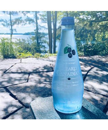 Clearly Canadian Mountain Blackberry Sparkling Spring Water - 12 Bottles x 325mL Case, Natural & Carbonated Seltzer Water - Buy Online on GoSupps.com