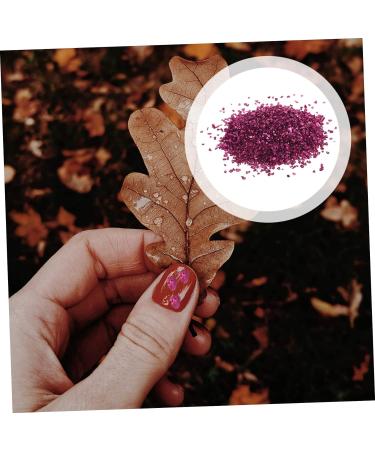 WOONEKY Nail Gems 1 Glass Chip DIY Nail Art Crushed Glass DIY Epoxy Fillers Flower Bulk Shiny Nail Stickers Nails Rhinestones Colored Glass in Bulk Colorful Vase Manicure Nail Stone 0.5X0.3cm Rosy - Buy Online on GoSupps.com