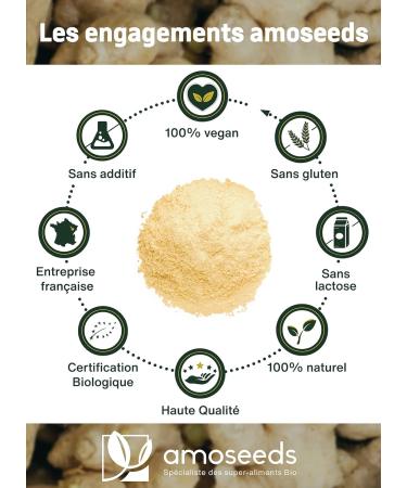 Organic Ginger Powder 200G | Antioxidant Joints Anti-Nausea | Lemon and Spicy Taste | Superior Quality - Buy Online on GoSupps.com