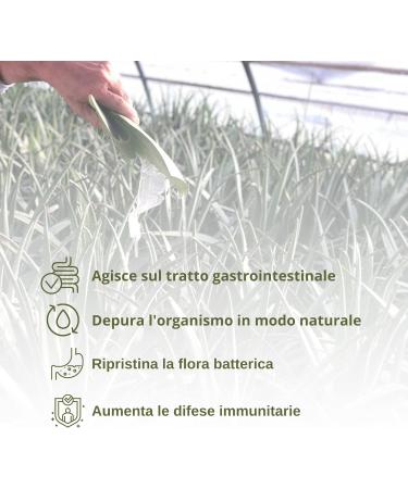  Benessence Benessence - 99.9% Organic Aloe Vera Drinking Juice - 1000 ml - Buy Online on GoSupps.com