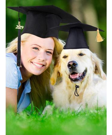 Pet Graduation Caps with Yellow Tassel - Small Dog & Cat Holiday Costume Accessory - Buy Online on GoSupps.com