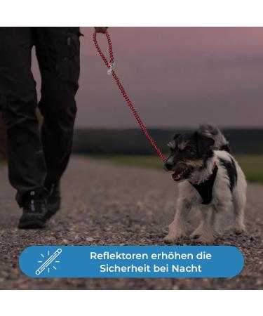 High-Quality Reflective Dog Leash - 2m Adjustable Weatherproof & Tearproof for Small to Large Dogs | Paracord Design Up to 250kg Capacity - Red & Black - Buy Online on GoSupps.com