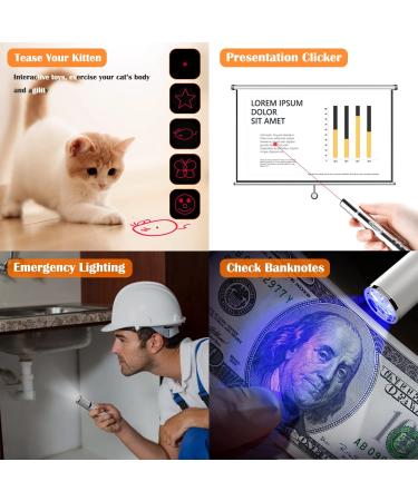 USB Rechargeable Red Laser Pointer Cat Toy for Interactive Indoor Play - Buy Online on GoSupps.com