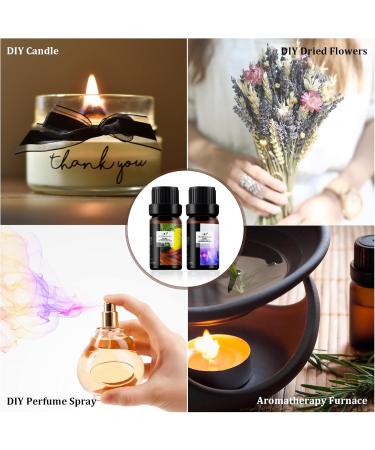 Fresh Essential Oils Set - 6x10ml Aromatherapy Gift Kit for Diffusers & Humidifiers - Tea Tree Lavender Peppermint & More - Buy Online on GoSupps.com