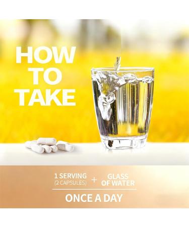 VXICDE NAD NMN 250mg 60 Capsules - 30 Servings Gluten Free - Buy Online on GoSupps.com