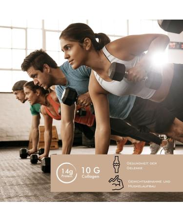 Buy Collagen Protein Bars - Lactose-Free Low Sugar Energy & Fitness Bar - 12x52g - High Protein Ox Collagen Mix - Buy Online on GoSupps.com