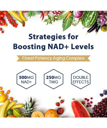Liposomal NAD+ 500mg with TMG 250mg - Cell Repair & Energy Metabolism Supplement (60 Soft Capsules 2-Pack) | Boost Your Health Easily! - Buy Online on GoSupps.com