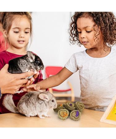 20Packs Small Animal Chew Toys Hamster Timothy Grass Cakes and Balls Bunny Pet Tooth Chew Toys Pet Snacks Toys for Rabbits Chinchilla Hamsters Guinea Pigs Gerbils Mini Macaws Parrots (Style-3) - Buy Online on GoSupps.com
