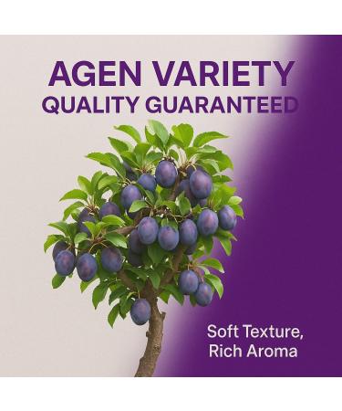  GiDeli GiDeli Dried Plums 100g Stone-Free Unsweetened from Chile - Buy Online on GoSupps.com