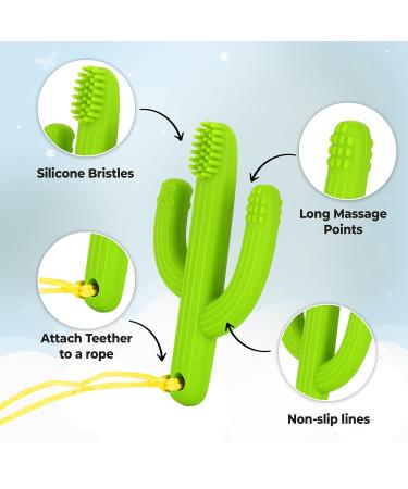 Petite Bee Silicone Baby Teether Bear & Cactus Toy - Soothing Pacifier & Chew Toy (2 Pack Green) - Buy Online on GoSupps.com