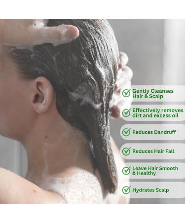 Unique Salubritas Shampoo Hair Bar Handmade Ayurveda 100% Natural Hair Shampoo Bar with Frankincense Argan Marjoram & Eucalyptus Essential Oils Hair Growth & Beard Bar Made in Canada 97g 1 pc - Buy Online on GoSupps.com