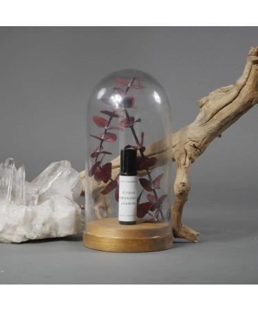 Environment Inspired by The Edition Hotel Blonde Woods Roll-on Oil Perfume (Blonde Woods | Rose | Black Fig) - Buy Online on GoSupps.com