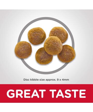 Hill's Science Diet Adult Dry Cat Food - Chicken Recipe for Healthy Growth & Energy - Buy Online on GoSupps.com