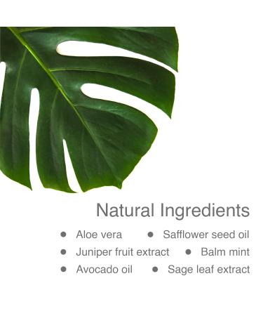 Pharmagel DN-24 Hydracr me - Intensive Vitamin Moisturizer - Day and Night Face and Neck Cream For Normal Dry and Aging Skin - 2 oz 2 Ounce (Pack of 1) - Buy Online on GoSupps.com