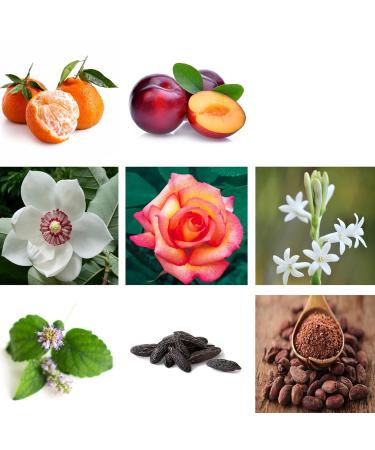 RACHEL ZOE Warrior Gift Set - Designer Women Perfume Body Spray for Women - Fruity Eau de Parfum Sprays - Ideal Perfume Gift Set for Women - 3 pc Warrior 1 Count (Pack of 1) - Buy Online on GoSupps.com