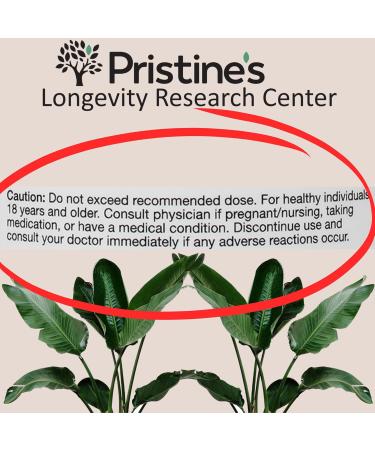 PRISTINE'S N-Acetyl L-Cysteine (NAC) Immunity Lung & Liver Support Supplement Capsules - 600MG 60 Day Supply - Potent Antioxidant - Vegan Gluten Free Non GMO - Buy Online on GoSupps.com