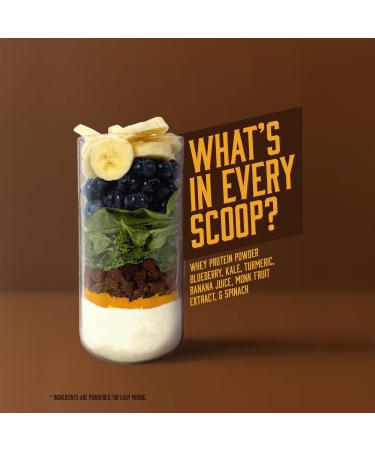 Jawngo Chocolate Protein Smoothie Powder - 25G Whey Protein + Real Fruits & Vegetables - Blueberry Banana Spinach Kale Turmeric Coconut Milk - Smooth Texture Great Taste - 15 Servings - Buy Online on GoSupps.com