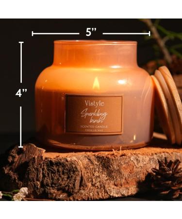 Large Sparkling Birch Scented Candle - 16 Oz Jar 65+ Hours Burn Time Non-Toxic Home Decor & Aromatherapy - Buy Online on GoSupps.com