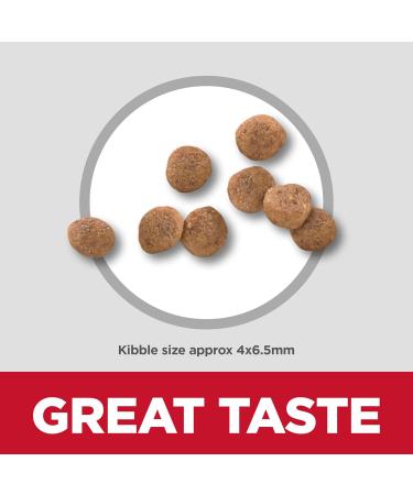 Hill's Science Diet Senior 7+ Small Bites Dry Dog Food Chicken Meal Barley & Brown Rice Recipe & Hill's Science Diet Puppy Small & Mini Chicken Meal & Brown Rice Recipe Dry Dog Food 4.5 lb Bag 2.27 kg (Pack of 1) Dog Food + PET_FOOD 9094 - Buy Online on GoSupps.com