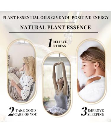 AICHUN BEAUTY Improve Good Sleep Ultra Premium Compound Essential Oil Promote a Desire to Sleep Relax Calm Nerves 30ml/1.0fl.oz - Buy Online on GoSupps.com