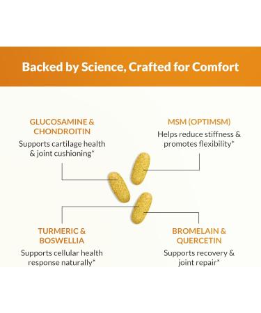Natural Wellness Glucosamine Chondroitin with MSM and Turmeric Supplement Supports Joint Health Mobility and Cartilage Strength Glucosamine MSM Tablets for Flexibility 90 Count - Buy Online on GoSupps.com