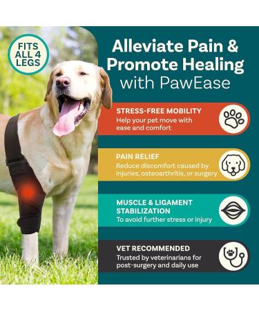 Dog Knee Brace - Dog Leg Protector with 10 Support Sticks | Dog Acl Knee Brace | Breathable Large Dog Rear Leg Support | Dog Leg Protector for Pet Recovery M - Buy Online on GoSupps.com