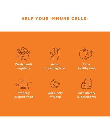 LifeSeasons Clinical Immunity Daily Boost - 60 Veg Capsules for Enhanced Immune Support - Buy Online on GoSupps.com