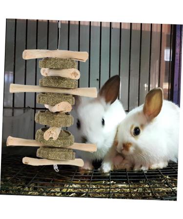 BUGUUYO Pet Chewing Playthings Oral Chew Wooden Rabbit Chew Snack Guinea Pig Chew Snack - Buy Online on GoSupps.com