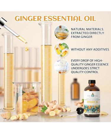 EVOKE OCCU Ylang Ylang Essential Oil and Ginger Essential Oil - 4 Fl Oz - Buy Online on GoSupps.com