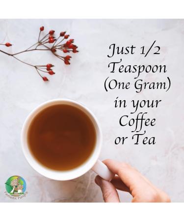 Super 7 mushroom extract powder - Fantastic Fungi -250 grams-Lion's Mane Reishi Turkey Tail Cordyceps Shiitake Chaga and Maitake - Value Pack (250 Grams) 250 g (Pack of 1) - Buy Online on GoSupps.com