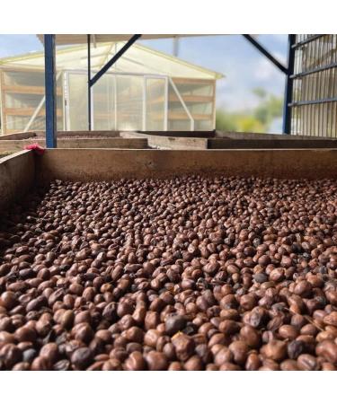 Quindio Bean Cafe Quindio Gourmet Whole bean Coffee 2 pack (500gr - 17.6oz) Cafe en grano Whole Bean 100% Colombian Arabica Coffee Artisanal Cultivation Single Estate Coffee - Buy Online on GoSupps.com