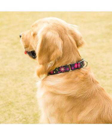 Comfortable Martingale Dog Collar - Adjustable Large Size with Sunflower Flower Pattern | Durable 1-Inch Wide - 43.2 cm to 63.5 cm Neck Circumference - Perfect for International Shipping - Buy Online on GoSupps.com