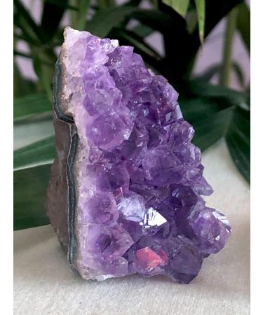 Amethyst Quartz Cut Base Purple Amethyst Specimen Uruguay Raw Stones and Minerals Stone Mineral Specimen - Buy Online on GoSupps.com