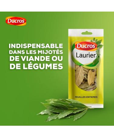 DUCROS - Laurel Leaves Whole 17g - Buy Online on GoSupps.com