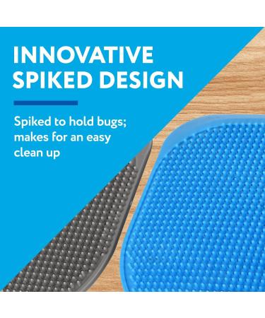 4 Pack Extra Large Spiky Fly Swatter Set - Blue & Grey Plastic - Indoor & Outdoor Bug Disposal - 5'' Smashing Surface - Bulk Pack - Buy Online on GoSupps.com