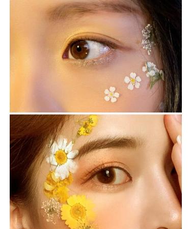 72 PCS Real Dried White Daisy Pressed Flowers for Resin Mold Craft Jewelry Making - Buy Online on GoSupps.com