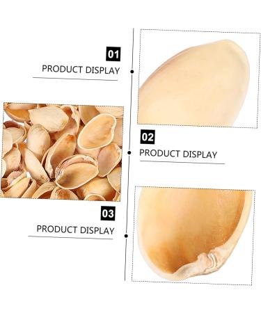 NUOBESTY 1 Pistachio Shell Kids Diy Craft Charms Turkish Diy Craft Accessories Nut Art Supplies Child - Buy Online on GoSupps.com